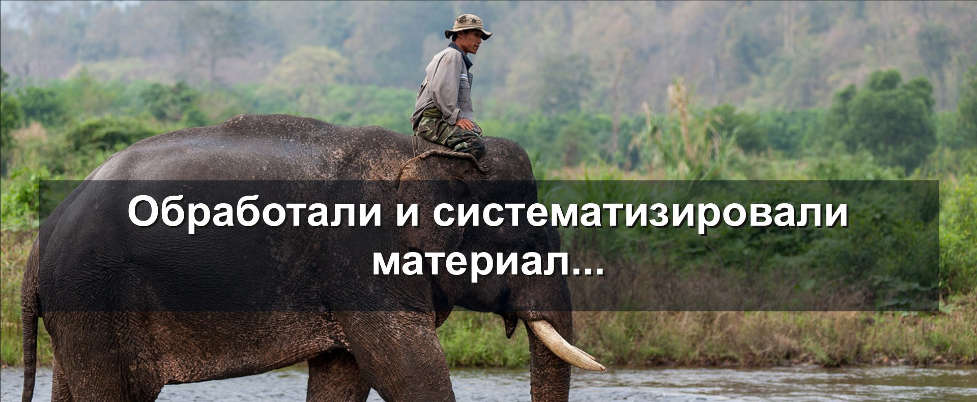 Обработали и систематизировали материал